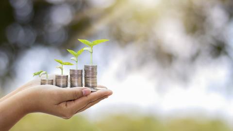 Hand hält Münzstapel hoch