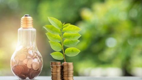 Eine Glühbirne, die mit Münzen gefüllt ist und Baum, der aus Münzen und oben aus grünen kleinen Blättern besteht.