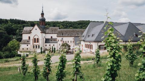 Außenansicht von Kloster Eberbach mit Weinreben im Bildvordergrund.  Außenansicht von Kloster Eberbach mit Weinreben im Bildvordergrund.