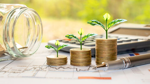 Abgebildet ist ein Taschenrechner im Bildhintergrund, davor sind ein Kugelschreiber, Unterlagen und Münzen zu sehen. Aus den Münzen wachsen kleine Pflanzen.