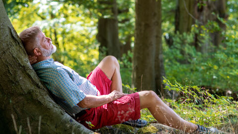 Zu sehen ist ein Mann, der sich an einen Baum angelehnt entspannt.