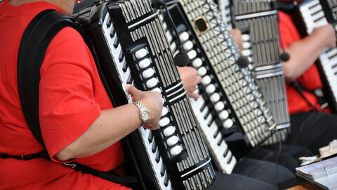 Zu sehen ist ein Akkordeon-Orchester.