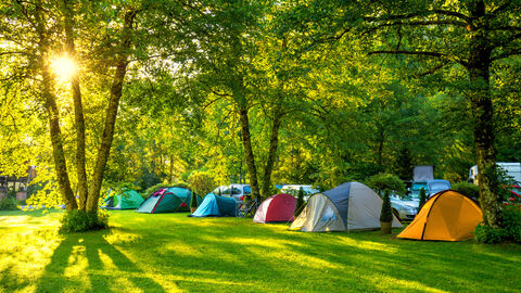 Zu sehen sind Campingzelte auf einer Wiese im Wald.