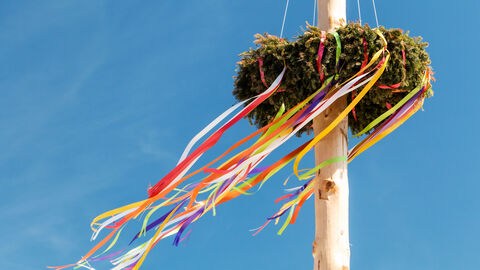 Bunt geschmückter Kerbebaum. Zu sehen ist die prachtvoll mit bunten Bändern geschmückte Spitze eines Kerbebaums vor blauem Himmel.