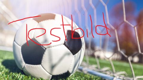 Dies ist ein Testbild.