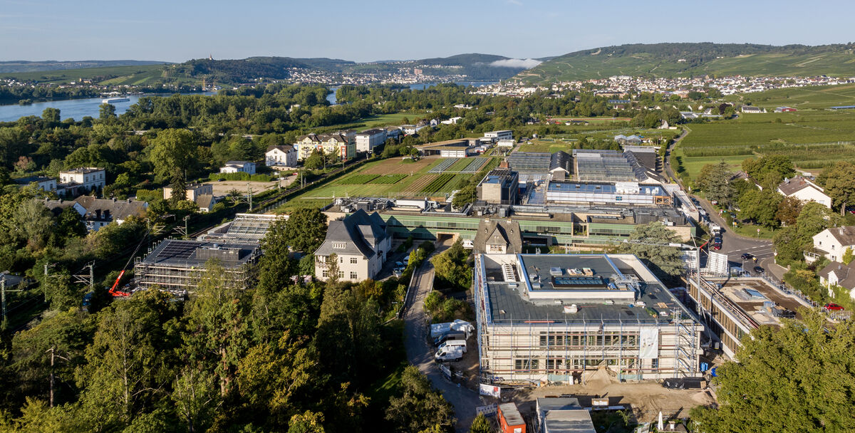 Hochschule Geisenheim University vor Erweiterung finanzen.hessen.de